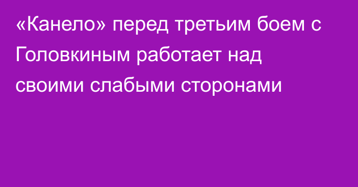 «Канело» перед третьим боем с Головкиным работает над своими слабыми сторонами