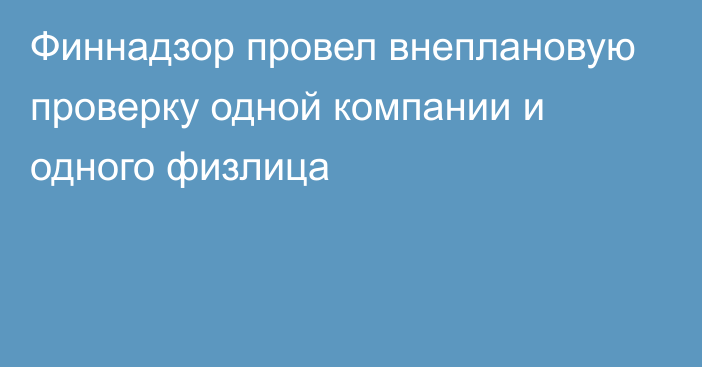 Финнадзор провел внеплановую проверку одной компании и одного физлица