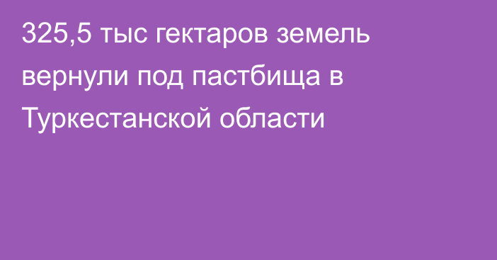 325,5 тыс гектаров земель вернули под пастбища в Туркестанской области