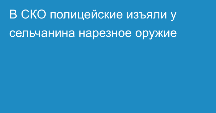 В СКО полицейские изъяли у сельчанина нарезное оружие