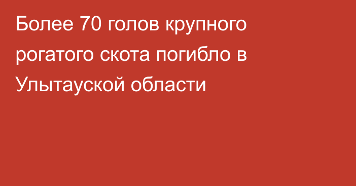 Более 70 голов крупного рогатого скота погибло в Улытауской области