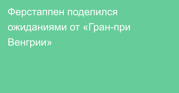 Ферстаппен поделился ожиданиями от «Гран-при Венгрии»