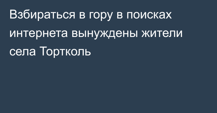 Взбираться в гору в поисках интернета вынуждены жители села Тортколь