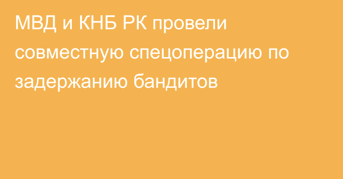 МВД и КНБ РК провели совместную спецоперацию по задержанию бандитов