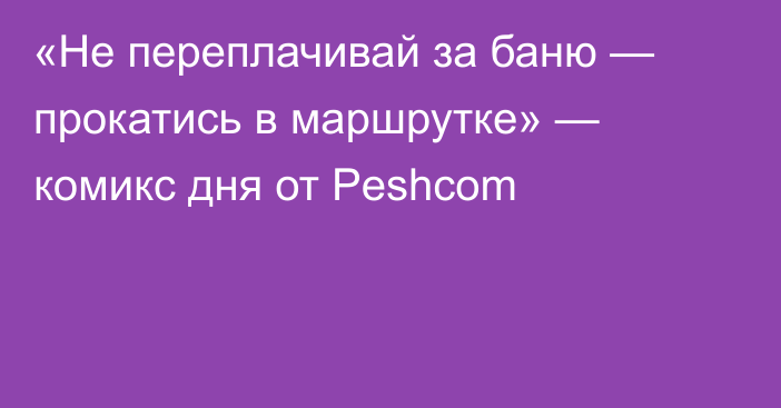 «Не переплачивай за баню — прокатись в маршрутке» — комикс дня от Peshcom