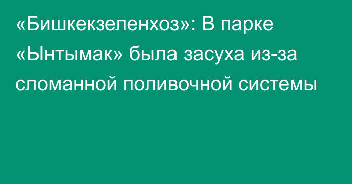 «Бишкекзеленхоз»: В парке «Ынтымак» была засуха из-за сломанной поливочной системы