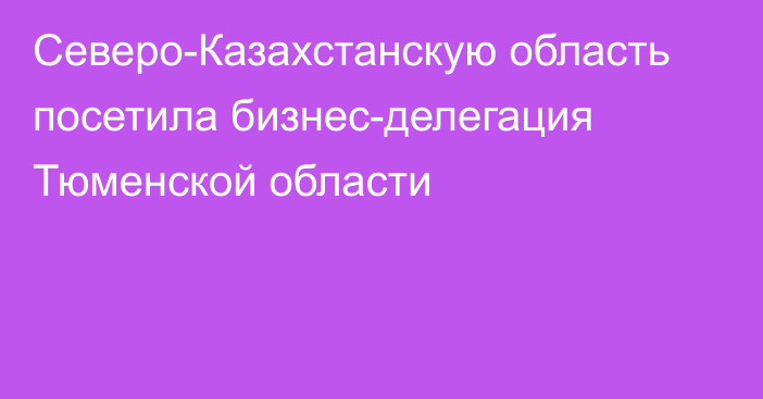 Северо-Казахстанскую область посетила бизнес-делегация Тюменской области