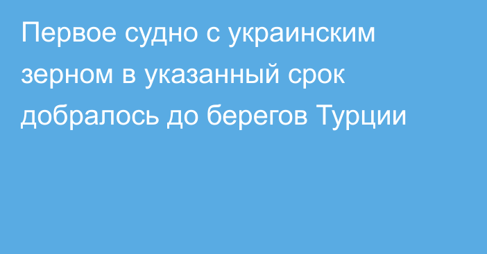 Первое судно с украинским зерном в указанный срок добралось до берегов Турции