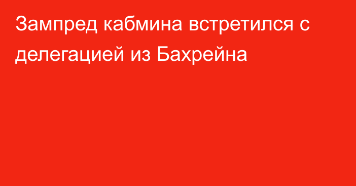 Зампред кабмина встретился с делегацией из Бахрейна 