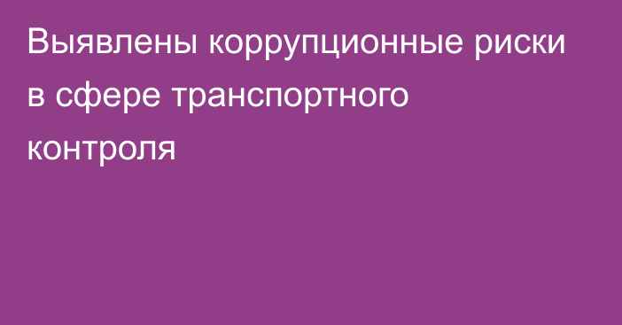 Выявлены коррупционные риски в сфере транспортного контроля