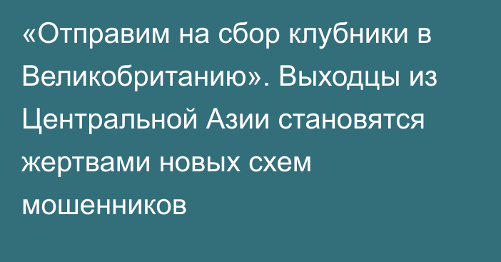 «Отправим на сбор клубники в Великобританию». Выходцы из Центральной Азии становятся жертвами новых схем мошенников