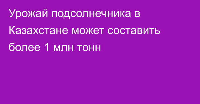 Урожай подсолнечника в Казахстане может составить более 1 млн тонн