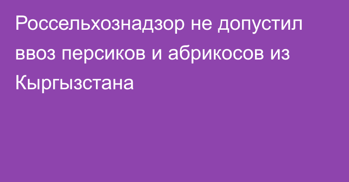 Россельхознадзор не допустил ввоз персиков и абрикосов из Кыргызстана