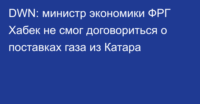 DWN: министр экономики ФРГ Хабек не смог договориться о поставках газа из Катара