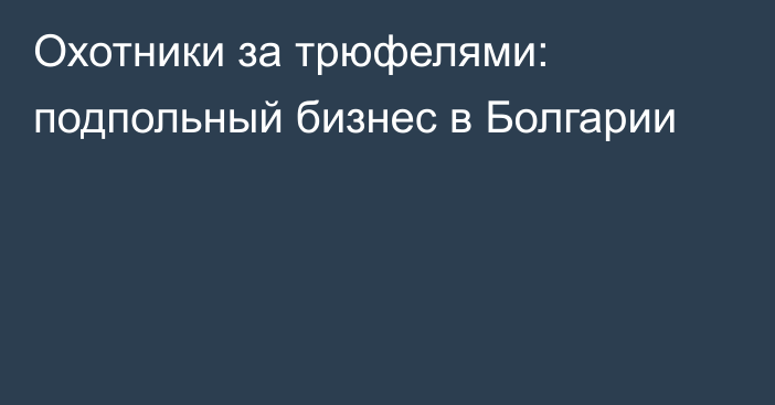 Охотники за трюфелями: подпольный бизнес в Болгарии