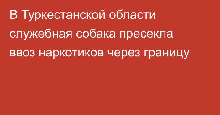 В Туркестанской области служебная собака пресекла ввоз наркотиков через границу