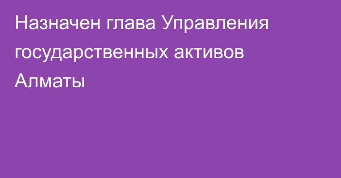 Назначен глава Управления государственных активов Алматы