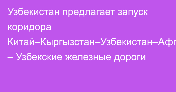 Узбекистан предлагает запуск коридора Китай–Кыргызстан–Узбекистан–Афганистан, – Узбекские железные дороги