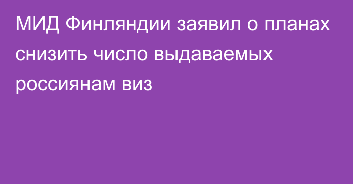 МИД Финляндии заявил о планах снизить число выдаваемых россиянам виз