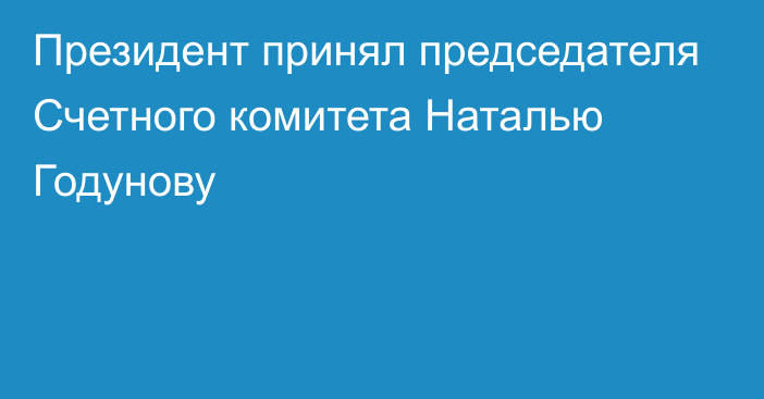 Президент принял председателя Счетного комитета Наталью Годунову