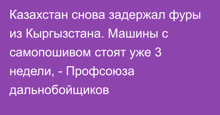 Казахстан снова задержал фуры из Кыргызстана. Машины с самопошивом стоят уже 3 недели, - Профсоюза дальнобойщиков