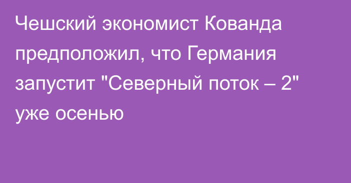 Чешский экономист Кованда предположил, что Германия запустит 