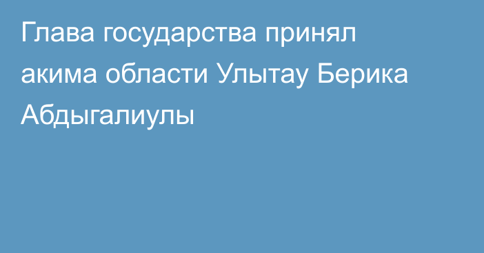 Глава государства принял акима области Улытау Берика Абдыгалиулы