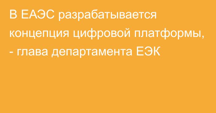 В ЕАЭС разрабатывается концепция цифровой платформы, - глава департамента ЕЭК