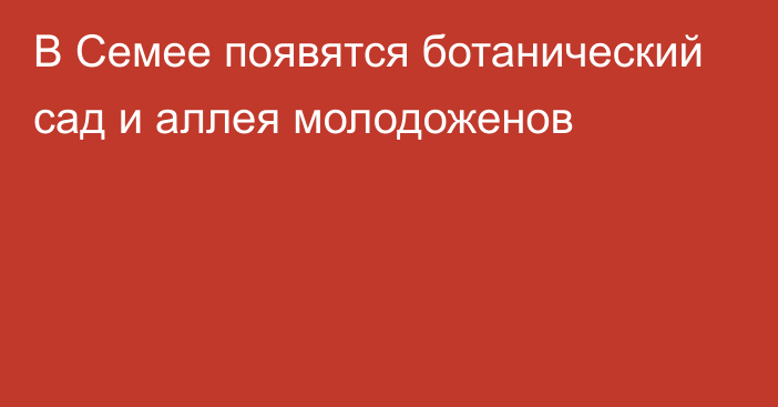 В Семее появятся ботанический сад и аллея молодоженов