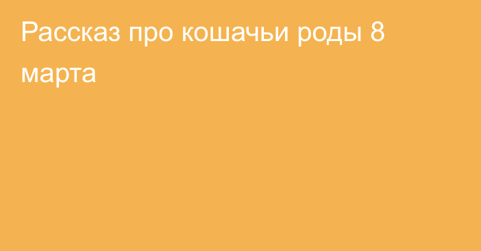 Рассказ про кошачьи роды 8 марта