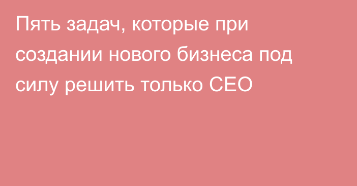 Пять задач, которые при создании нового бизнеса под силу решить только CEO