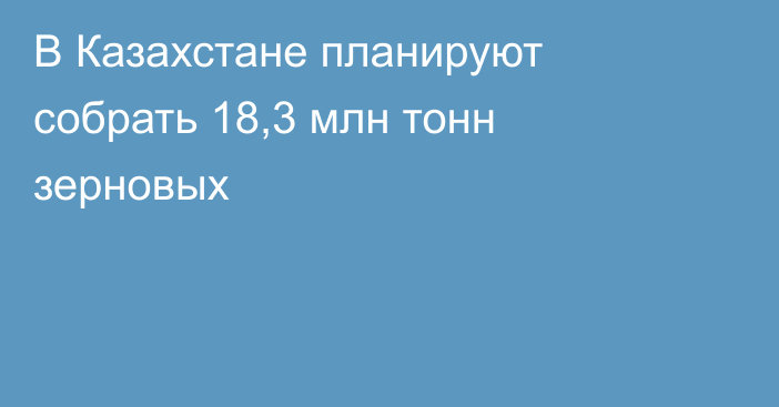 В Казахстане планируют собрать 18,3 млн тонн зерновых