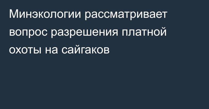 Минэкологии рассматривает вопрос разрешения платной охоты на сайгаков