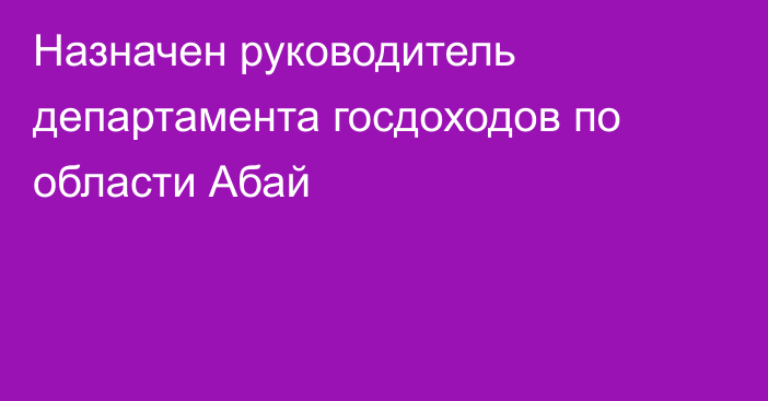 Назначен руководитель департамента госдоходов по области Абай