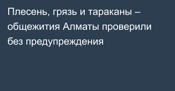 Плесень, грязь и тараканы – общежития Алматы проверили без предупреждения