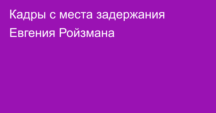 Кадры с места задержания Евгения Ройзмана