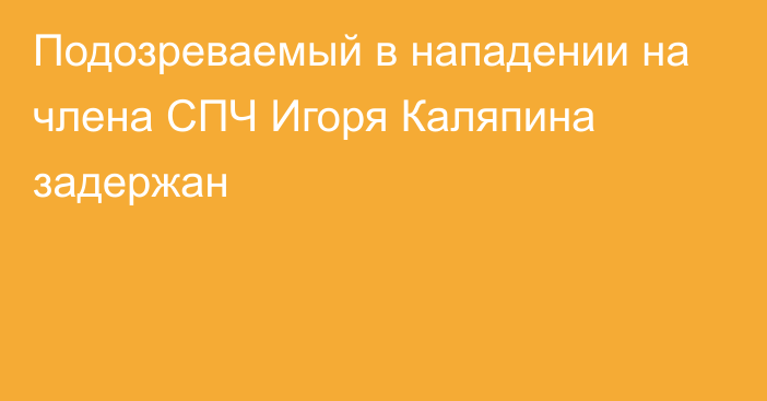 Подозреваемый в нападении на члена СПЧ Игоря Каляпина задержан