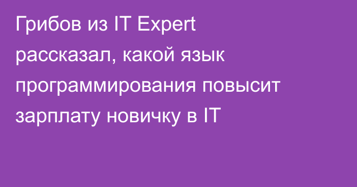 Грибов из IT Expert рассказал, какой язык программирования повысит зарплату новичку в IT