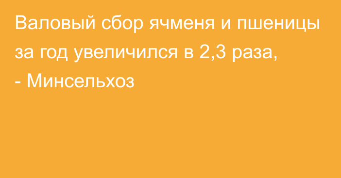 Валовый сбор ячменя и пшеницы за год увеличился в 2,3 раза, - Минсельхоз