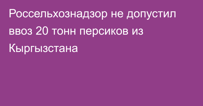 Россельхознадзор не допустил ввоз 20 тонн персиков из Кыргызстана