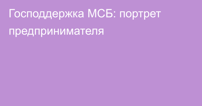 Господдержка МСБ: портрет предпринимателя