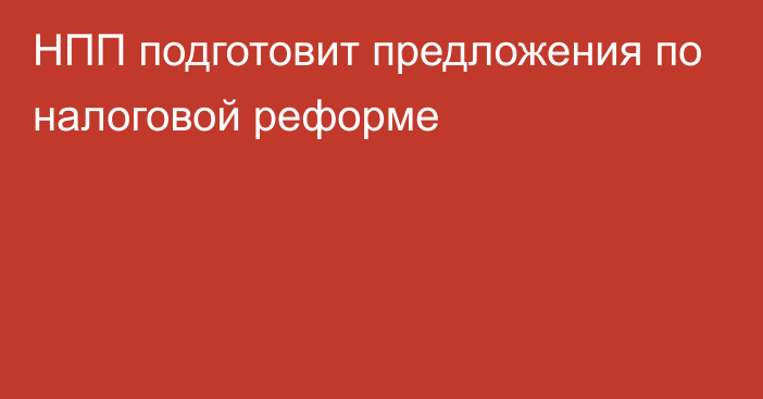 НПП подготовит предложения по налоговой реформе