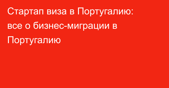 Стартап виза в Португалию: все о бизнес-миграции в Португалию