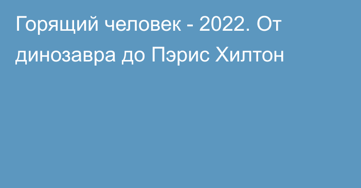 Горящий человек - 2022. От динозавра до Пэрис Хилтон