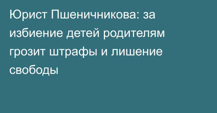 Юрист Пшеничникова: за избиение детей родителям грозит штрафы и лишение свободы