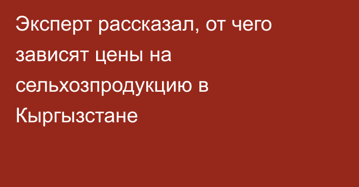 Эксперт рассказал, от чего зависят цены на сельхозпродукцию в Кыргызстане 