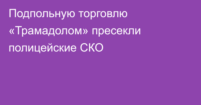 Подпольную торговлю «Трамадолом» пресекли полицейские СКО