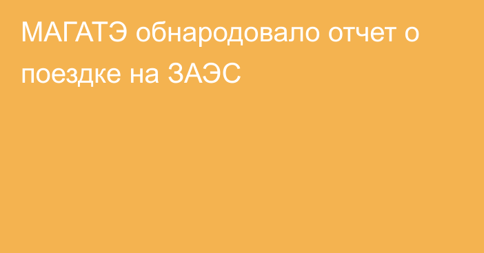 МАГАТЭ обнародовало отчет о поездке на ЗАЭС