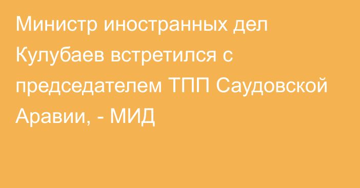 Министр иностранных дел Кулубаев встретился с председателем ТПП Саудовской Аравии, - МИД