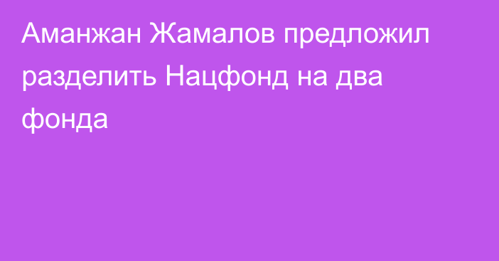 Аманжан Жамалов предложил разделить Нацфонд на два фонда